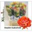 product/img.floraplaza.nl/LTULGUDD-LIVE_fotos-0x5434B03D502627B3A489A1C2A6D957BB0DECAE9E.jpg