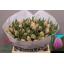 product/img.floraplaza.nl/LTULKAT-LIVE_fotos-0x062CD98A5CFCCDD26D0615642E23B9E2FB5200F2.jpg