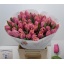 product/img.floraplaza.nl/LTULLOU-LIVE_fotos-0x814AF6487ABBFEDC9B02C0540F20B1BF18491008.jpg