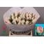 product/img.floraplaza.nl/LTULNEGL-LIVE_fotos-0x13B85B521859C2686E3BE70A3069C44F5878A51F.jpg