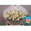 product/img.floraplaza.nl/LTULNEGL-LIVE_fotos-0x53A9222E14824A0E4775A9F9598829EE91EC4E9C.jpg