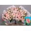 product/img.floraplaza.nl/LTULNEGL-LIVE_fotos-0x9B1627B9D324D43DEEA79E329F8E3C91BBA449DD.jpg
