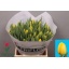 product/img.floraplaza.nl/LTULNOVS-LIVE_fotos-0x3C569821E5B0C79E82356A2BEBBF47BB20DA472A.jpg