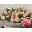 product/img.floraplaza.nl/LTULQUE-LIVE_fotos-0x8E9C84B660BD70E4B70D0B38BAB6575CE88FE739.jpg