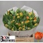 product/img.floraplaza.nl/LTULQUEEN-LIVE_fotos-0x455E99DAA6E96E371BD840F43CDF8CA546A66C71.jpg