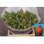 product/img.floraplaza.nl/LTULQUEEN-LIVE_fotos-0xB9B185A37ECBD693B49F6AFD6E8ABBFFFA2D29FC.jpg