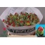 product/img.floraplaza.nl/LTULROCDOU-LIVE_fotos-0xB00F5B5A87CDE74D9C57F91B9ACC1F73CC7A35FD.jpg