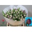 product/img.floraplaza.nl/LTULSAID-LIVE_fotos-0x0AC7D36F051A355831F371995C9F0E3CD34B079F.jpg