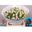 product/img.floraplaza.nl/LTULSAID-LIVE_fotos-0xF4E13D2669C79106B6FCFA5B97CC289221F6801C.jpg
