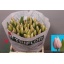 product/img.floraplaza.nl/LTULSWEB-LIVE_fotos-0x2DF7A1D48319D10777CB8FB8BA388C83861D2407.jpg
