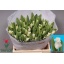 product/img.floraplaza.nl/LTULWHILI-LIVE_fotos-0x1EB4ABD258D74EDA8DF72B7E92DE99BA204B01AA.jpg