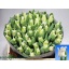 product/img.floraplaza.nl/LTULWHILI-LIVE_fotos-0x92F1DE08C95DE0A939DE49DD7E2A01705789DB6E.jpg