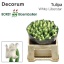 product/img.floraplaza.nl/LTULWHILI-LIVE_fotos-0xA0BDFCE7D6852DBFA7A2DFB8256A8760AC64DF2C.jpg