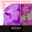 product/img.floraplaza.nl/LVANCANP-ASSORTI_fotos-MVA-Pink Ribbon 2023-PR Ansu - Vanda Candy Pink x16.jpg
