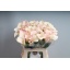 product/img.floraplaza.nl/LZANCAPR6-LIVE_fotos-0xABC7DEE52BB0FCB37C90DBD524F49142B8A4EEF6.jpg