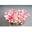 product/img.floraplaza.nl/LZANCAPR6-LIVE_fotos-0xADCE0DB4DE4F888198B122C2175FC93EB75D2822.jpg