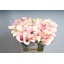 product/img.floraplaza.nl/LZANCAPR7-LIVE_fotos-0xCD0E1A8038D79254D183DCE4FBE01CB1E147C150.jpg