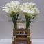product/img.floraplaza.nl/LZANCRYB7-LIVE_fotos-0xF62930E082AEAE4029AFE25D84E8B7F36BAC07CA.jpg