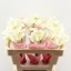 product/img.floraplaza.nl/LZANCRYSB5-LIVE_fotos-0x20D0DBA8217D8256417BEC55034279D00F4F0249.jpg