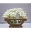 product/img.floraplaza.nl/LZANCRYSB5-LIVE_fotos-0xEB0832DA7DF3E5D8E060EFF58327A970A62AFD44.jpg