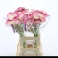 product/img.floraplaza.nl/LZANDEN6-LIVE_fotos-0xDF4064EDC4789A03BC935CA00B6E088C40C68922.jpg