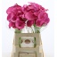 product/img.floraplaza.nl/LZANFAN6-LIVE_fotos-0x5C11E783229484165518558DE3FAB1C000256AEE.jpg