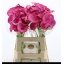 product/img.floraplaza.nl/LZANFAN6-LIVE_fotos-0xBD6D6E13EC3B268B4F98085A1FD2C1C03ADAD57D.jpg