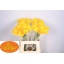 product/img.floraplaza.nl/LZANFLOG6-LIVE_fotos-0xF039FD305DB5AA41154617D46E679FA03CFDA3CB.jpg