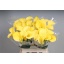 product/img.floraplaza.nl/LZANGOL6-LIVE_fotos-0x4255ADCEEA29F5FDD11717D21DC9F3F89D0ACECA.jpg