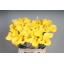 product/img.floraplaza.nl/LZANGOL6-LIVE_fotos-0x6B67B4FCC4F7DAE4CEFABC92110F84447E396CE5.jpg