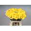 product/img.floraplaza.nl/LZANGOL6-LIVE_fotos-0x6FE352860C86F199ACE52A6FD24DB1A5CB4E8D7A.jpg