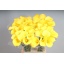 product/img.floraplaza.nl/LZANGOL65-LIVE_fotos-0xC97DEE29D6AA888D9AABF3F04FAA0BA2CEF99DB1.jpg