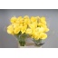 product/img.floraplaza.nl/LZANGOL65-LIVE_fotos-0xF1818A4BA4572511214E8738570AC9898BF33392.jpg