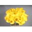 product/img.floraplaza.nl/LZANGOL7-LIVE_fotos-0xCA751E4AA96B97D1B89A8B69DDAFA0F3F87E15BE.jpg