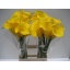 product/img.floraplaza.nl/LZANGOLM7-LIVE_fotos-0xA3322B92332BEE168B01E9D8633ED3CC930555C8.jpg