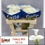 product/img.floraplaza.nl/LZANIVOA5-LIVE_fotos-0x49F4A4A77BFE0FA1BA14AB5FF85186FCC5FB5B3F.jpg