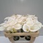 product/img.floraplaza.nl/LZANIVOA5-LIVE_fotos-0xD90DE60F44B24A1233DF354C80434F9EBCE34605.jpg