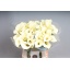 product/img.floraplaza.nl/LZANSNO65-LIVE_fotos-0x16A05E9CF8DD7755E5BBAD56C5FEDE73A274238B.jpg