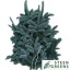 product/img.floraplaza.nl/NOBILIS5KH-LIVE_fotos-0x5C9E8F02053E8FF2FBC99EAE9ADFA6742F12D566.jpg