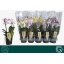 product/img.floraplaza.nl/PHA12MF-LIVE_fotos-0x126A4486A2752A5BF29CFD300E7E61B2ECF50784.jpg