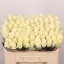 product/img.floraplaza.nl/RALBAT5-LIVE_fotos-0xC260C998930FE63B5164D99EF45DCC0E6EB8CE8C.jpg