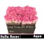 product/img.floraplaza.nl/RAQU4-LIVE_fotos-0xE698CC577ACAB2E274DDD069C214DFBE0FD4C6EE.jpg