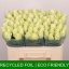 product/img.floraplaza.nl/RATH5-LIVE_fotos-0xE03774D2A4DE6BE9C42E5381983848E8BE0EC761.jpg