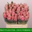 product/img.floraplaza.nl/RATHRO4-LIVE_fotos-0x4B848C1DF86E4D8C51ED3F012C06226F24EB492C.jpg