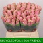 product/img.floraplaza.nl/RATHRO4-LIVE_fotos-0xA2C18AA634D0F026A662E1660E58EB6150AD34FE.jpg