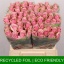 product/img.floraplaza.nl/RATHRO4-LIVE_fotos-0xF9FBE5DA3CC62CDCC3F26C9A8F4C1C399F92CA6A.jpg