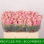 product/img.floraplaza.nl/RATHRO5-LIVE_fotos-0xC04DA550965FA90CB5146DAF7F6B896DDB839FE1.jpg