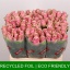 product/img.floraplaza.nl/RATHRO6-LIVE_fotos-0xA196C920C1688B3BA0332726207648D7665DA9FA.jpg