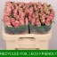 product/img.floraplaza.nl/RATHRO6-LIVE_fotos-0xA1C23A1C99CCB3822217884047F677D78973EDBB.jpg