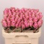 product/img.floraplaza.nl/RATHRO6-LIVE_fotos-0xEFF618A5C521C12BDC1CC9F5D0395164BC3C308C.jpg